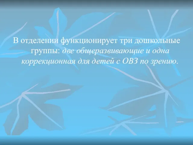 В отделении функционирует три дошкольные группы: две общеразвивающие и одна коррекционная для