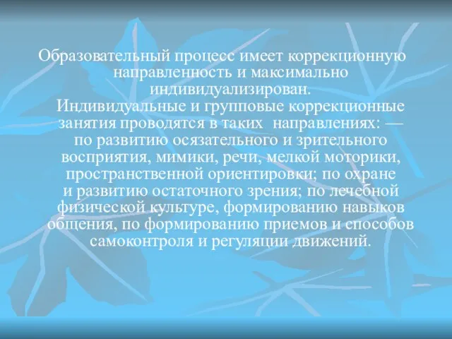 Образовательный процесс имеет коррекционную направленность и максимально индивидуализирован. Индивидуальные и групповые коррекционные