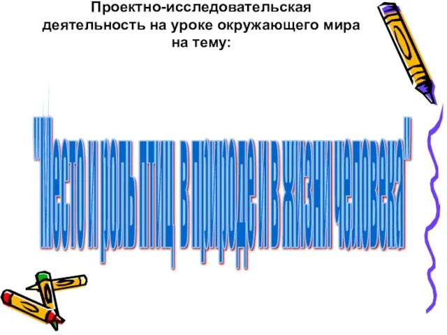 Проектно-исследовательская деятельность на уроке окружающего мира на тему: "Место и роль птиц