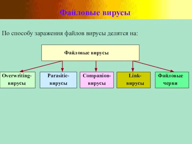 Файловые вирусы По способу заражения файлов вирусы делятся на: Файловые вирусы Overwriting-вирусы