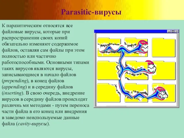 Parasitic-вирусы К паразитическим относятся все файловые вирусы, которые при распространении своих копий