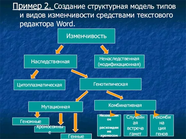 Пример 2. Создание структурная модель типов и видов изменчивости средствами текстового редактора Word.
