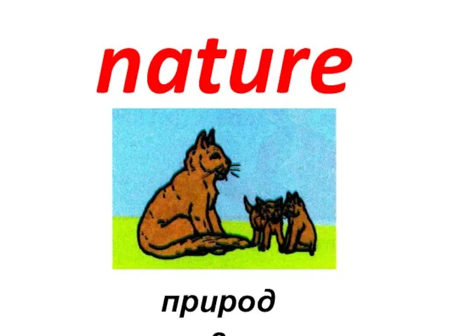 nature природа