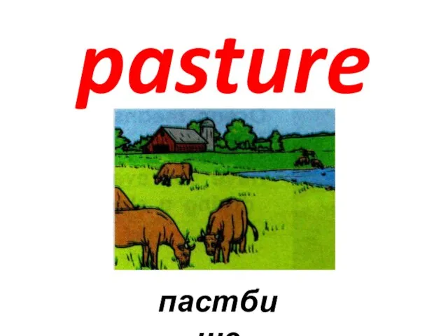 pasture пастбище