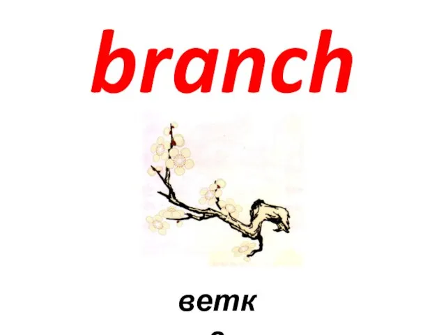 branch ветка