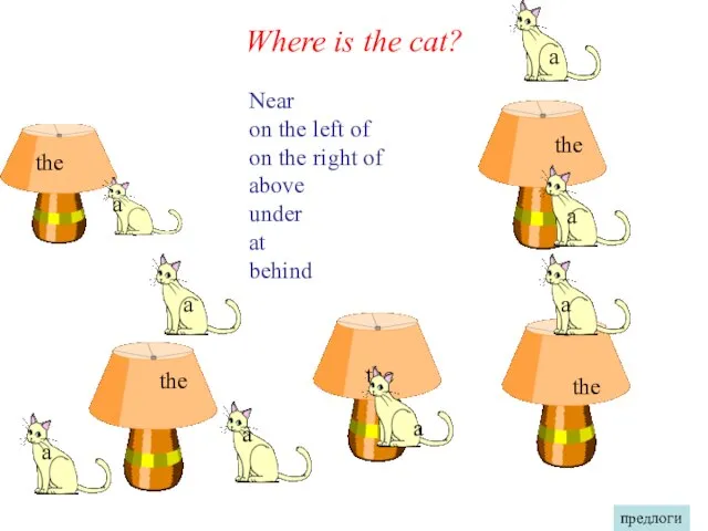 Where is the cat? Near on the left of on the right