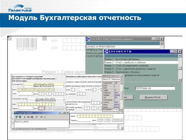 Модуль Бухгалтерская отчетность