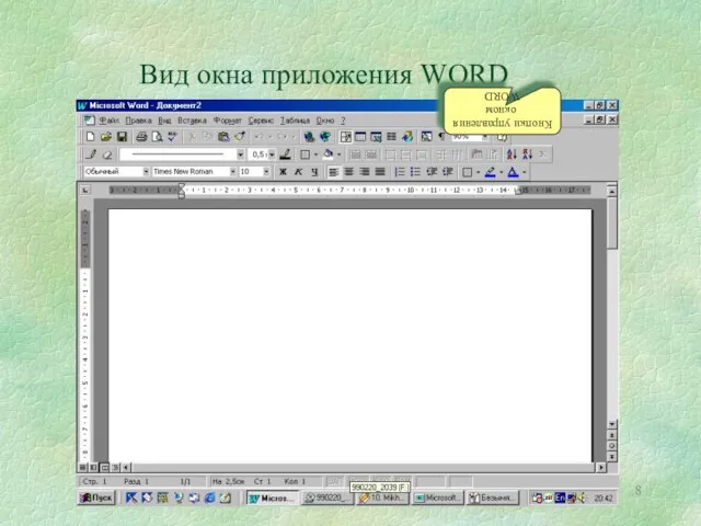 Вид окна приложения WORD Кнопки управления окном WORD