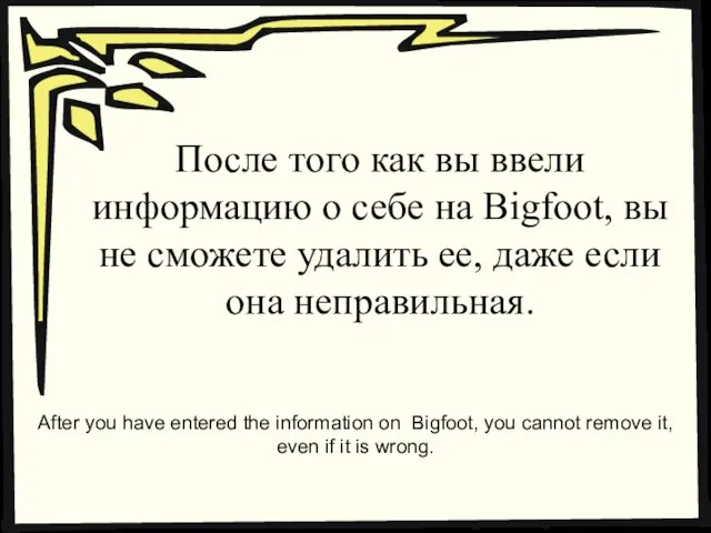 После того как вы ввели информацию о себе на Bigfoot, вы не