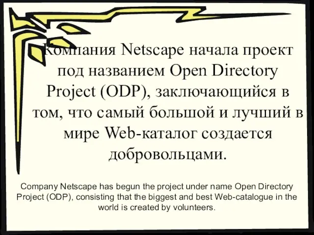 Компания Netscape начала проект под названием Open Directory Project (ODP), заключающийся в