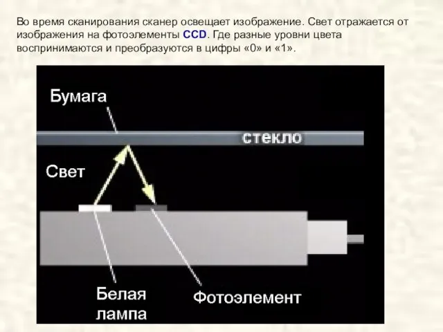 Во время сканирования сканер освещает изображение. Свет отражается от изображения на фотоэлементы