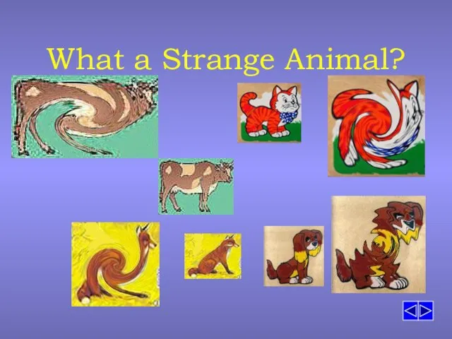 What a Strange Animal?