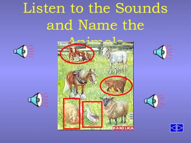 Listen to the Sounds and Name the Animals