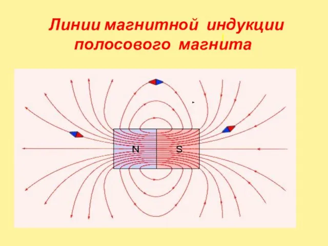 I Линии магнитной индукции полосового магнита