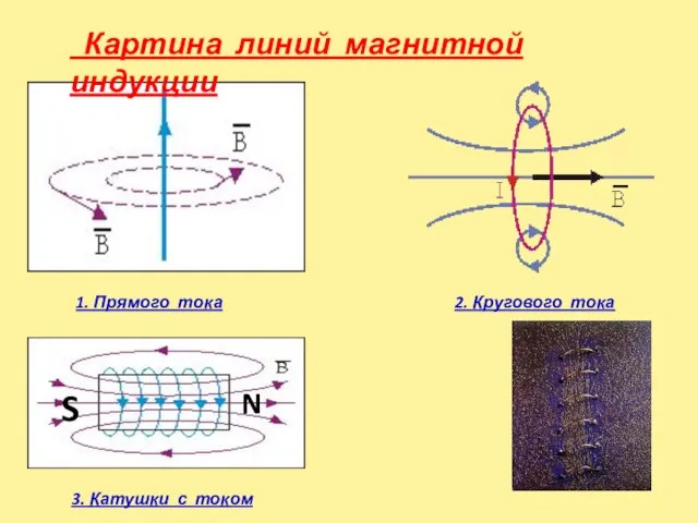Картина линий магнитной индукции 1. Прямого тока 2. Кругового тока 3. Катушки с током N S