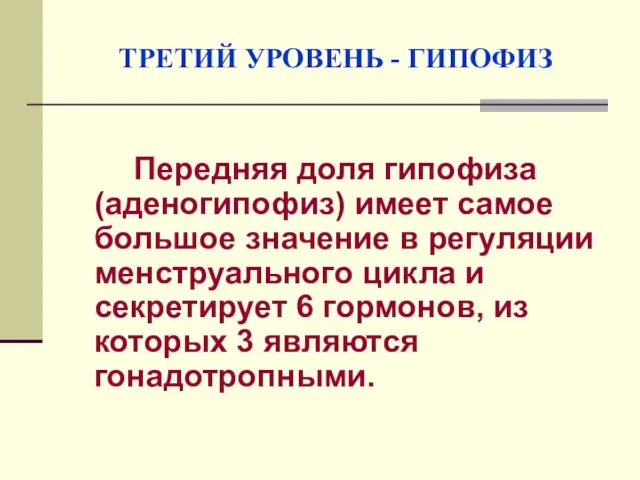 ТРЕТИЙ УРОВЕНЬ - ГИПОФИЗ Передняя доля гипофиза (аденогипофиз) имеет самое большое значение