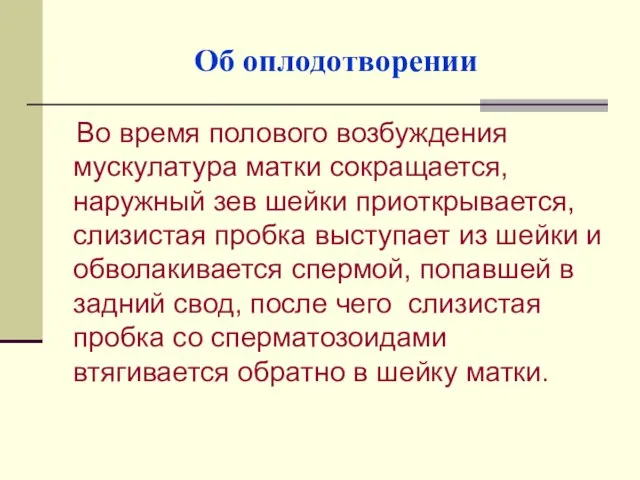 Об оплодотворении Во время полового возбуждения мускулатура матки сокращается, наружный зев шейки