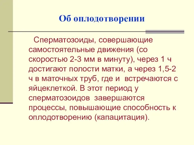 Об оплодотворении Сперматозоиды, совершающие самостоятельные движения (со скоростью 2-3 мм в минуту),