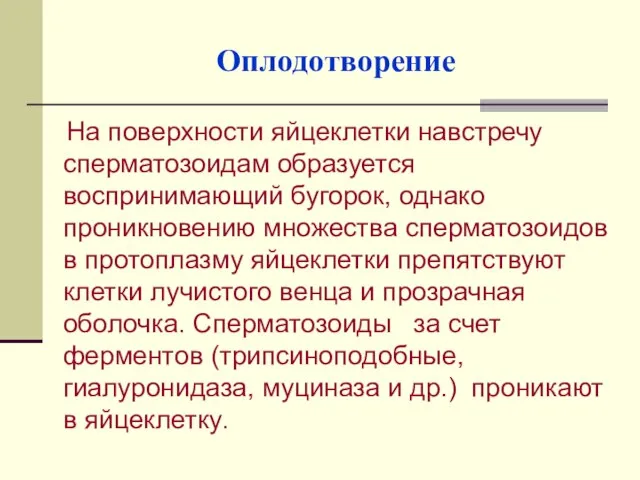 Оплодотворение На поверхности яйцеклетки навстречу сперматозоидам образуется воспринимающий бугорок, однако проникновению множества