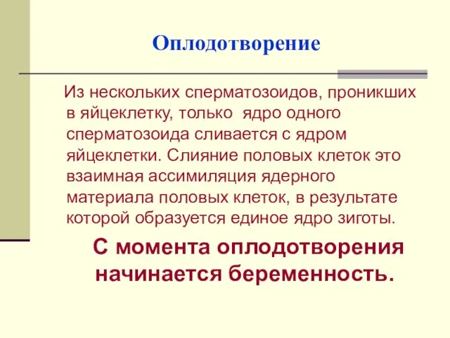 Оплодотворение Из нескольких сперматозоидов, проникших в яйцеклетку, только ядро одного сперматозоида сливается