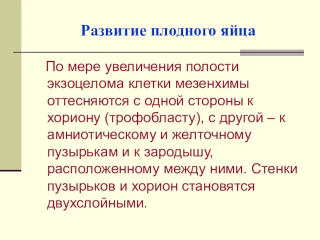 Развитие плодного яйца По мере увеличения полости экзоцелома клетки мезенхимы оттесняются с