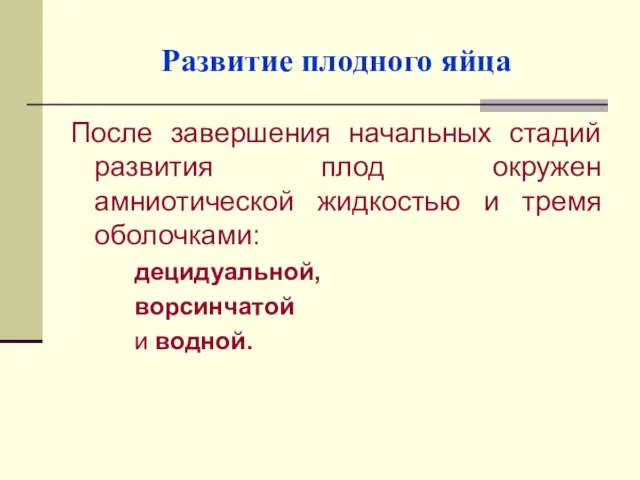 Развитие плодного яйца После завершения начальных стадий развития плод окружен амниотической жидкостью