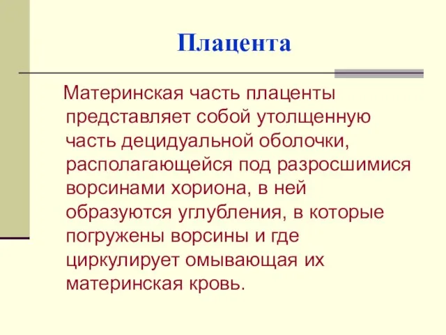 Плацента Материнская часть плаценты представляет собой утолщенную часть децидуальной оболочки, располагающейся под