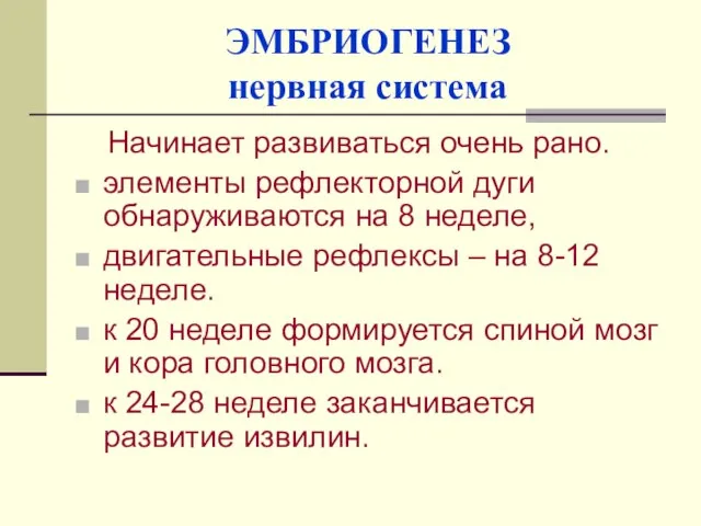 ЭМБРИОГЕНЕЗ нервная система Начинает развиваться очень рано. элементы рефлекторной дуги обнаруживаются на