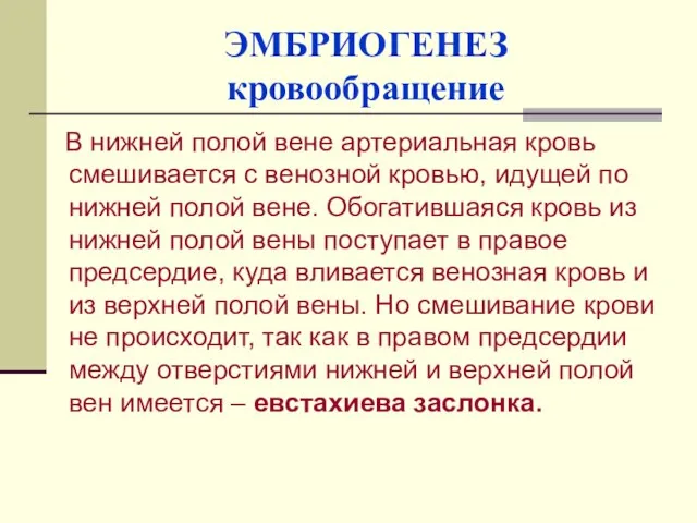 ЭМБРИОГЕНЕЗ кровообращение В нижней полой вене артериальная кровь смешивается с венозной кровью,