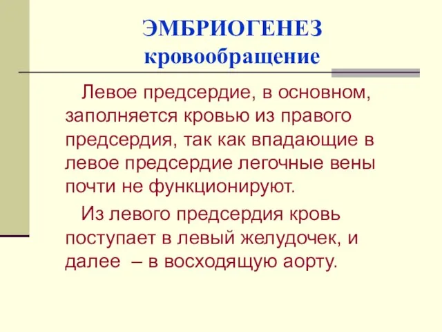 ЭМБРИОГЕНЕЗ кровообращение Левое предсердие, в основном, заполняется кровью из правого предсердия, так