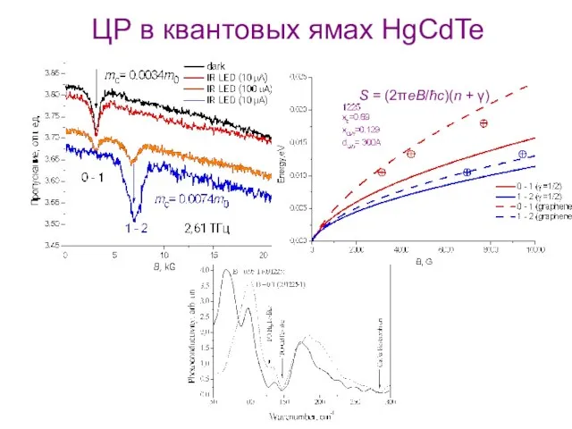 ЦР в квантовых ямах HgCdTe S = (2πeB/ħc)(n + γ)