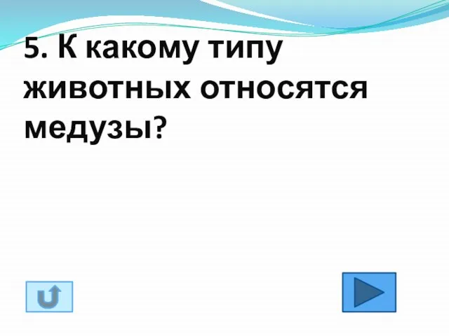 5. К какому типу животных относятся медузы?