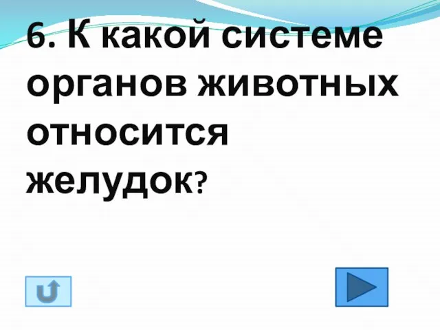 6. К какой системе органов животных относится желудок?