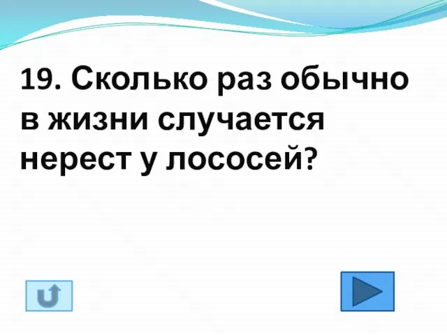 19. Сколько раз обычно в жизни случается нерест у лососей?