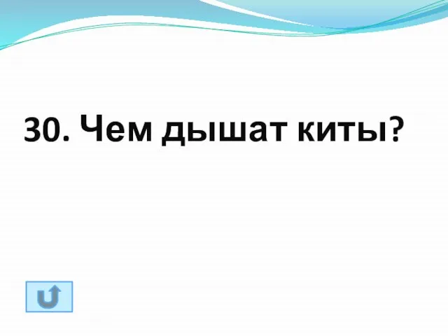 30. Чем дышат киты?