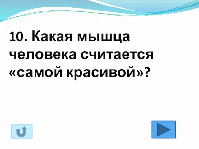 10. Какая мышца человека считается «самой красивой»?