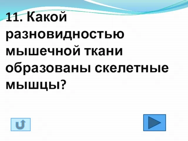 11. Какой разновидностью мышечной ткани образованы скелетные мышцы?