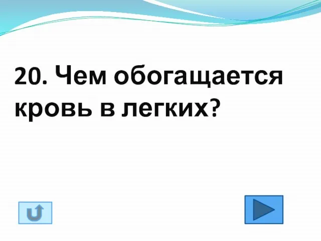 20. Чем обогащается кровь в легких?