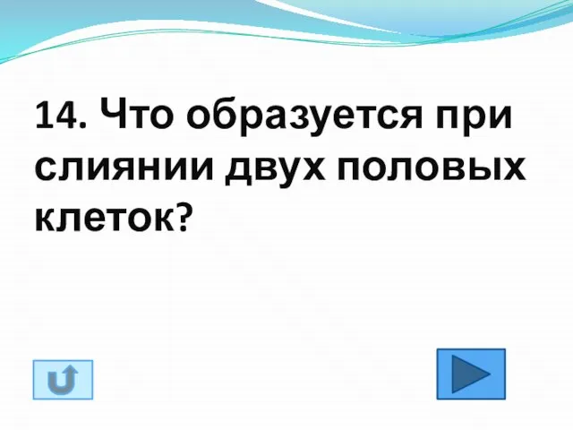 14. Что образуется при слиянии двух половых клеток?