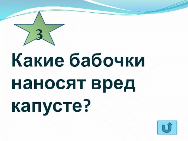 Какие бабочки наносят вред капусте? 3