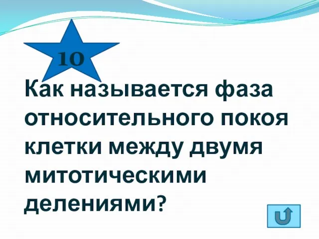 Как называется фаза относительного покоя клетки между двумя митотическими делениями? 10