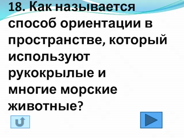 18. Как называется способ ориентации в пространстве, который используют рукокрылые и многие морские животные?