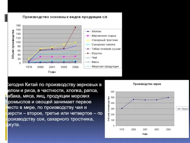 Сегодня Китай по производству зерновых в целом и риса, в частности, хлопка,