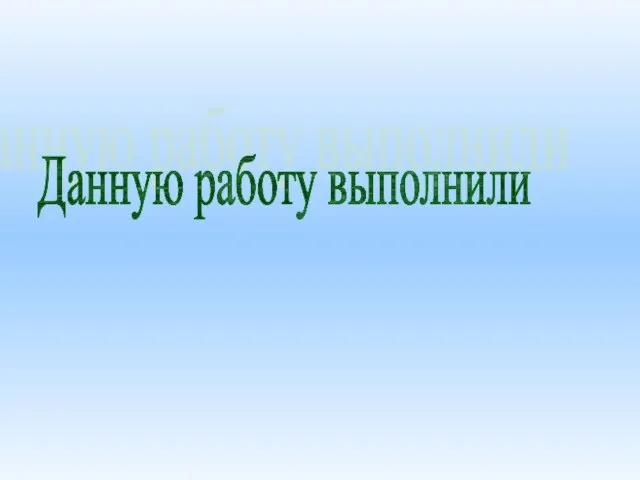 Данную работу выполнили