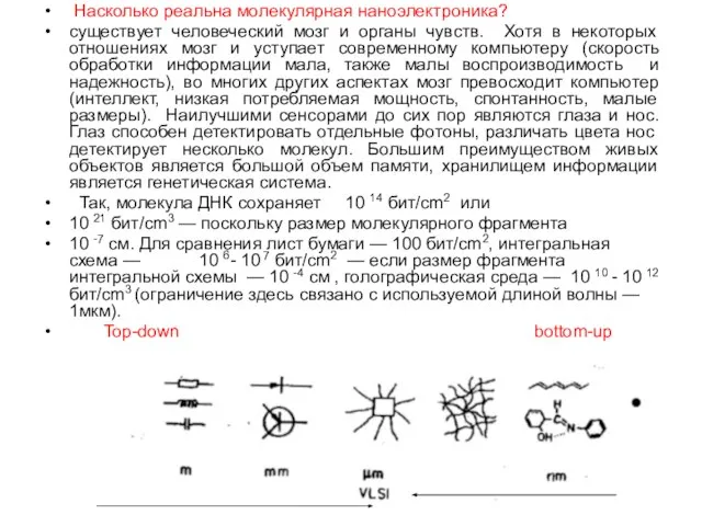 Насколько реальна молекулярная наноэлектроника? существует человеческий мозг и органы чувств. Хотя в