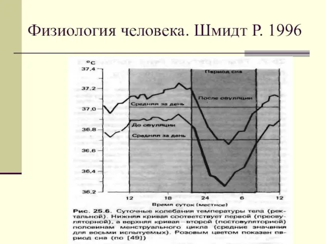Физиология человека. Шмидт Р. 1996