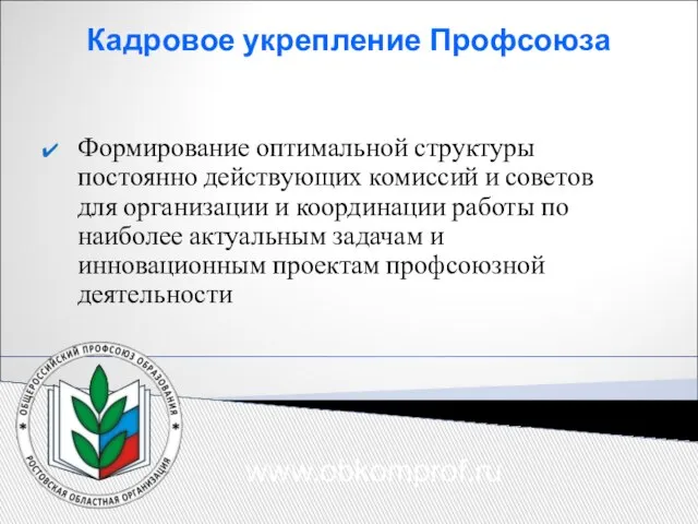 Кадровое укрепление Профсоюза Формирование оптимальной структуры постоянно действующих комиссий и советов для