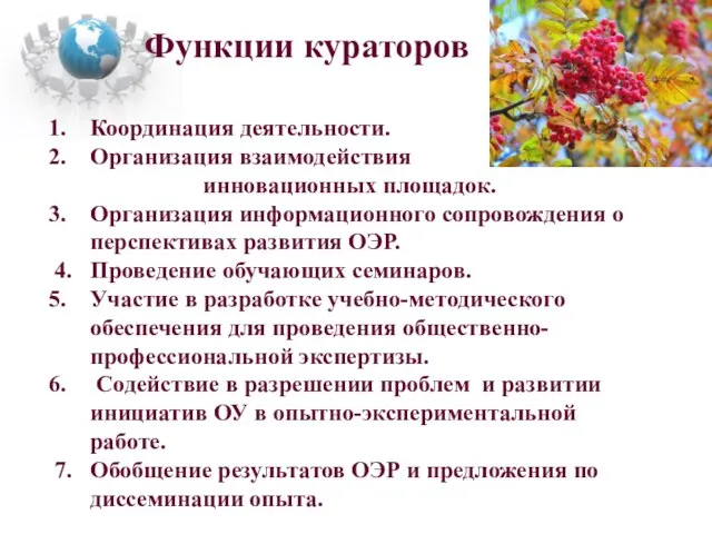 Функции кураторов Координация деятельности. Организация взаимодействия инновационных площадок. Организация информационного сопровождения о