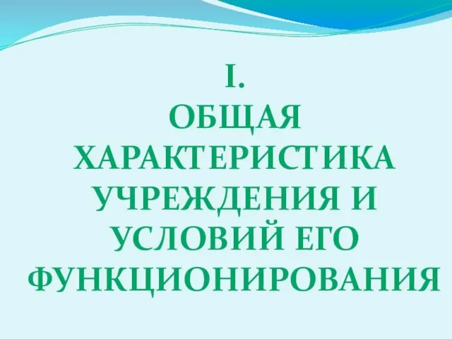 I. ОБЩАЯ ХАРАКТЕРИСТИКА УЧРЕЖДЕНИЯ И УСЛОВИЙ ЕГО ФУНКЦИОНИРОВАНИЯ