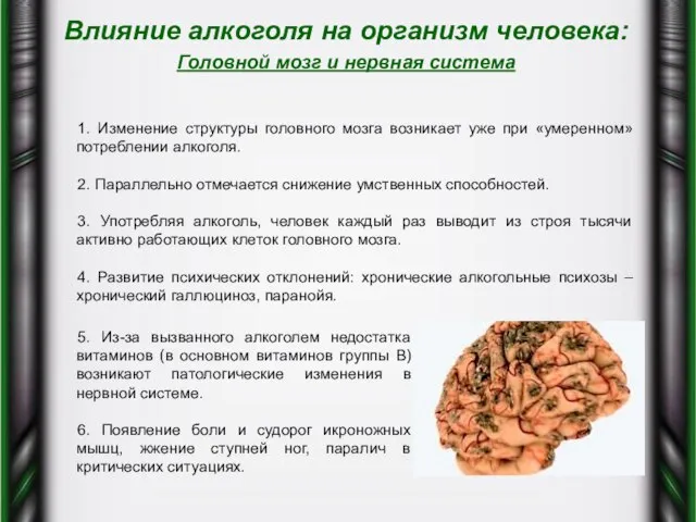 Влияние алкоголя на организм человека: Головной мозг и нервная система 1. Изменение